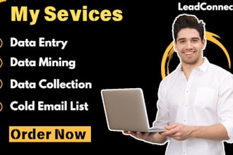 provide high quality data entry,data mining,data collection and cold email list