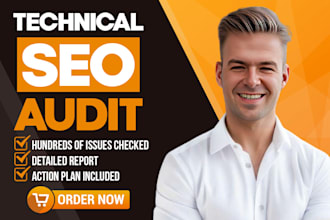 do a full technical SEO audit of your website