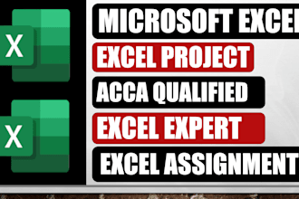 be your microsoft excel expert for assignments, projects, and reports