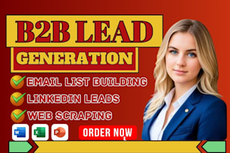 do b2b lead generation data entry and email list building