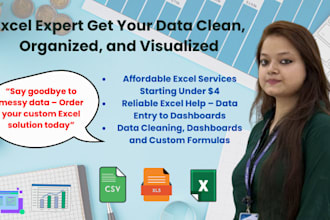 offer affordable excel services to organize integrate and visualize your data