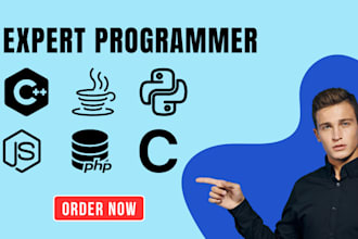 your python java c plus plus python and github programmer