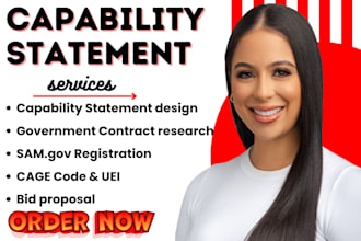 design a professional government capability statement and capability statement