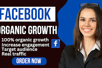 set up facebook and instagram ads for leads and sales organic followers