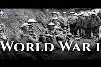 do history  on world war, social interactions, race american and culture tasks
