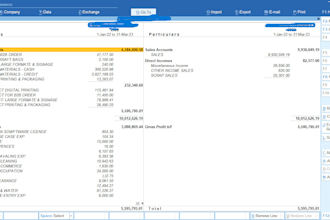 do tally software entry works