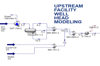 process simulation in aspen hysys, aspen plus, htri, and other
