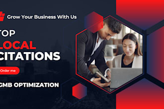 do top 300 USA, UK, ca local citations and directory listing