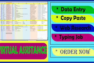 professional data entry, typing, web research, and real estate copy paste