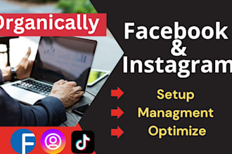 manage and grow your facebook instagram tiktok organically and meta ad campaigns
