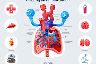 draw digital coloured anatomy and medical illustrations