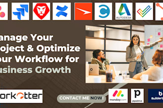 do professional project management software setup and workflow optimization