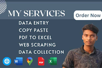 do data entry, web scraping, PDF to excel, copy paste and data scraping