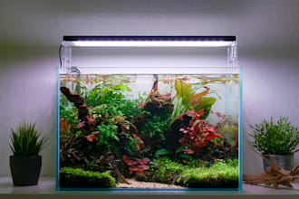 write informative and useful articles on all about aquariums