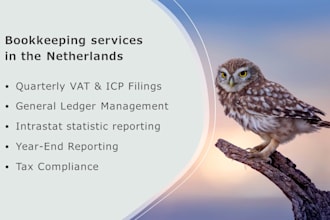 do bookkeeping in exact online or other and prepare dutch vat or icp returns