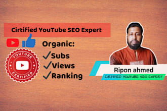 do your youtube video SEO and ranking, 5 plus experience