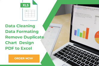 do data cleaning,formating and design in xlsx