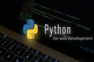 develop python django and flask web applications and scripts