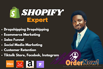 build shopify dropshipping store shopify website shopify and be store manager