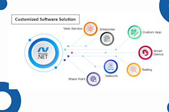 build asp dot net custom software with API and accounting integration