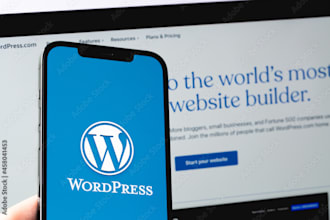 make a professional web site