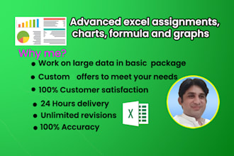 help you in advanced excel assignments, charts, formula, pivot table and graphs
