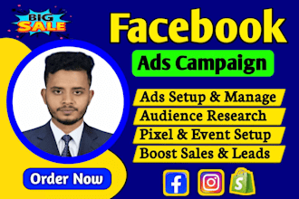 manage your facebook and instagram ads campaign, run fb ads for leads and sales