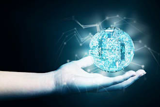 provide professional software engineering consultation