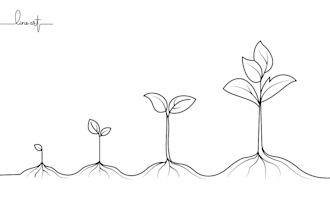 create simple vector line art and outline illustrations