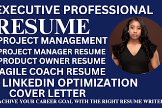 write standard project management resume, product owner, agile, product manager