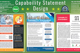 provide your professional and effective capability statement