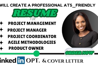 write professional project management resume, product owner, product manager