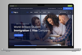build immigration website visa travel agencyconsultant website wordpress website