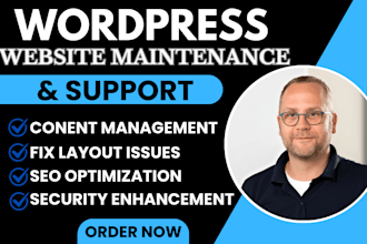 do wordpress website maintenance, wordpress support and fix wordpress bugs