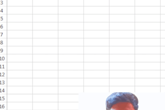 be your professional data cleaner and organizer