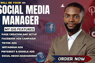be your social media manager, facebook ads campaign, instagram ads, tiktok shop
