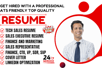 write sales manager resume, svp, vp, cto, sales executive resume, resume writer