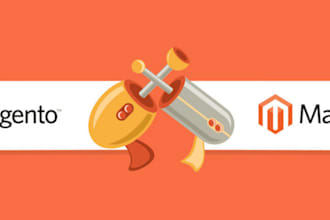 update, maintain and customize your magento 1 and 2 website