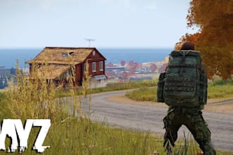create a PC dayz server, dayz mod, game modding for you