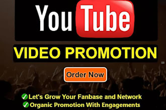 do youtube video promotion to niche targeted audience