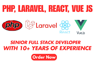 fix and build websites with laravel, vue js, react js