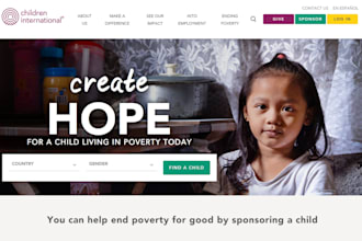 charity website, nonprofit website, 501c3 website, donation website, ngo website