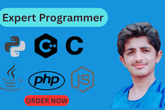 be your dedicated personal programmer
