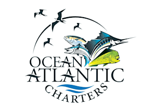 do vintage fishing, hunting, and mountain logo for your brand