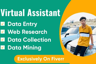 be your virtual assistant for data research, data entry, data mining
