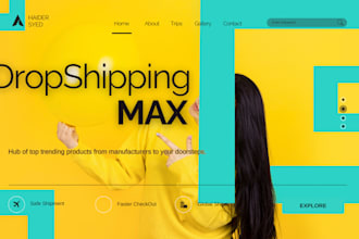 build shopify dropshipping store, shopify website
