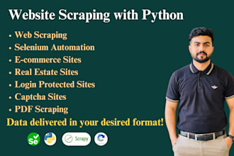do python website scraping, web data extraction and selenium