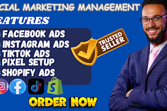 setup facebook instagram linkedin ads campaign to generate lead for business