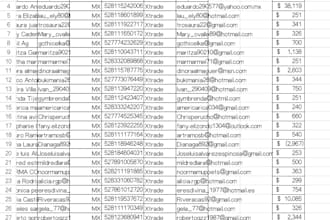provide fresh and targeted forex recovery leads with country filtering
