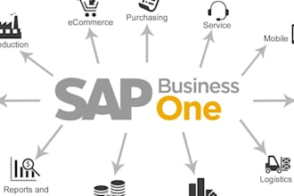 do professional sap business one solutions